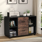 File cabinet under framed art with printer, files and binders in its cubbies