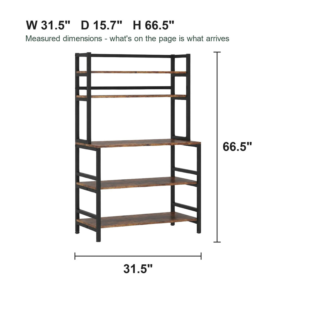 Dimension diagram: 31.5 in W x 15.7 in D x 66.5 in H